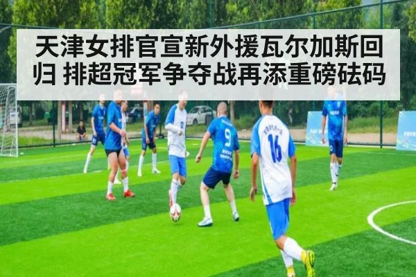 天津女排官宣新外援瓦尔加斯回归 排超冠军争夺战再添重磅砝码